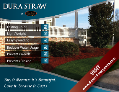 Postcard Design by TedAtkinson for this project | Design #3912434
