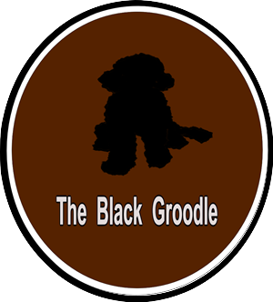 Design de Logo par ArtGallore pour ce projet | Design : #3996495