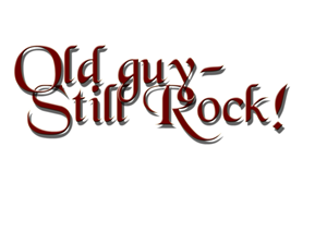 Logo Design by designer17