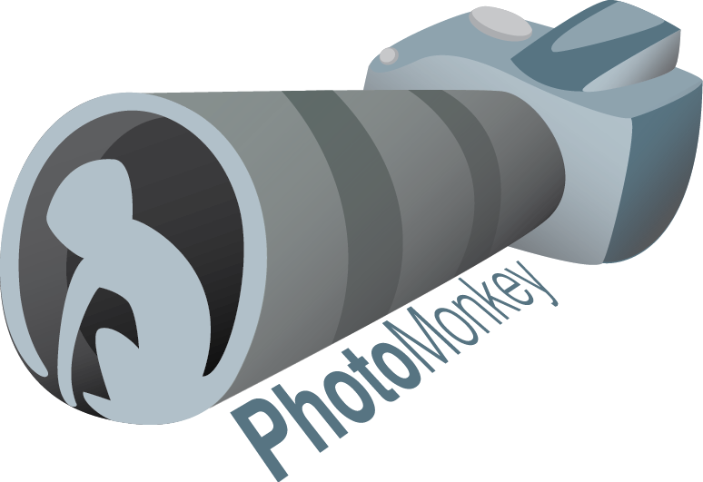 Logo Design by RebaWill for PhotoMonkey | Design #1061628