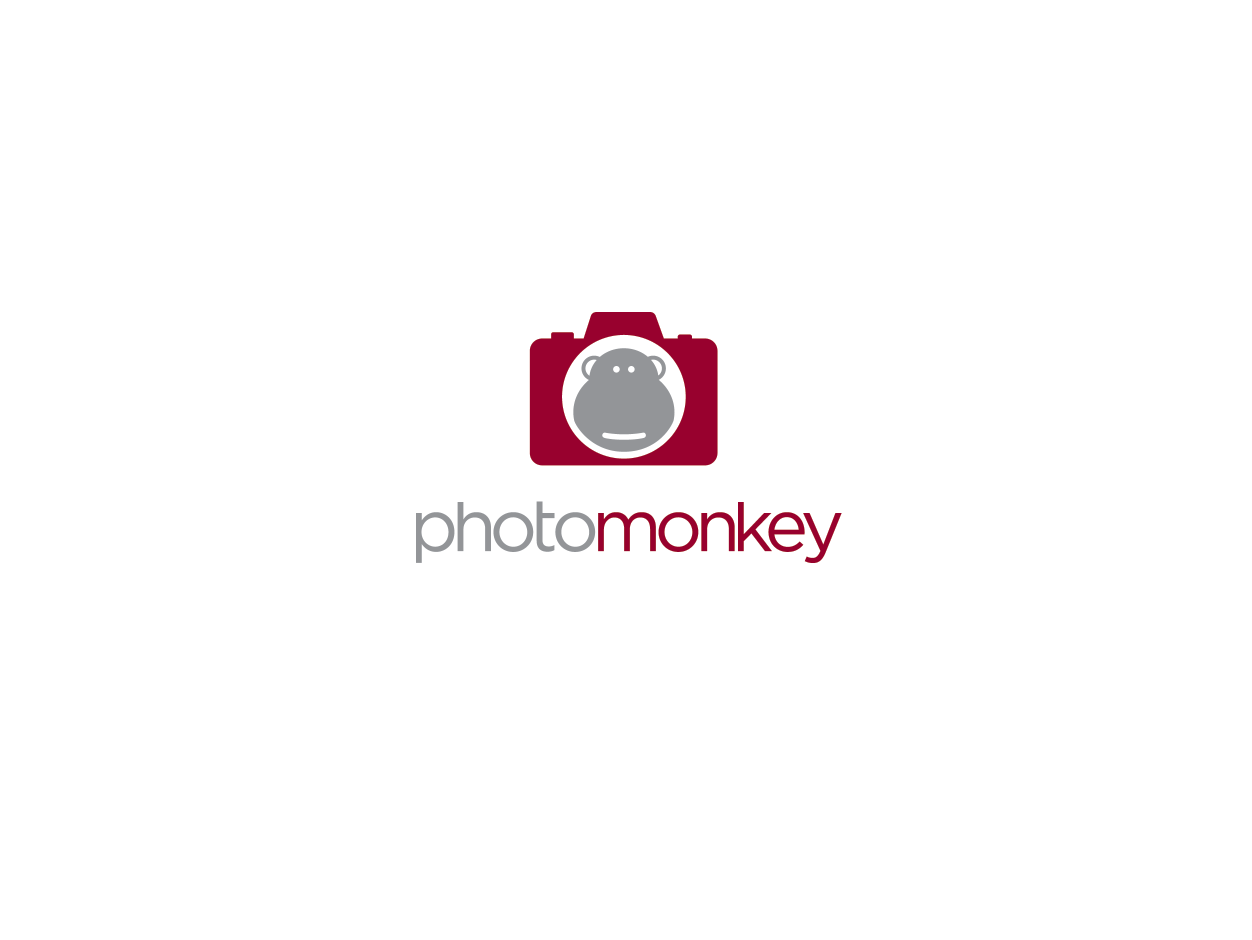 Logo Design by bluejet for PhotoMonkey | Design #1066649