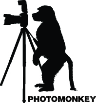 Logo Design by Gekko Web Design for PhotoMonkey | Design #1075902