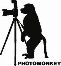 Design de Logo par Gekko Web Design pour PhotoMonkey | Design : #1075902