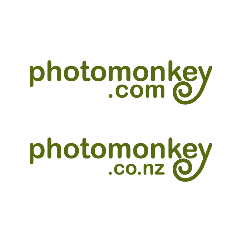 Logo Design by DanDamDesign for PhotoMonkey | Design #1056448