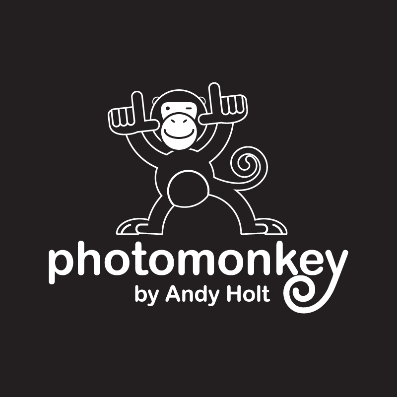 Logo Design by DanDamDesign for PhotoMonkey | Design #1056450