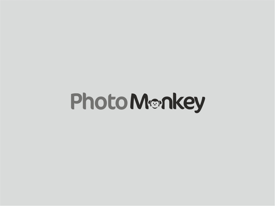 Logo Design by Logocraft for PhotoMonkey | Design #1052420