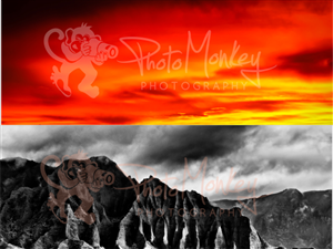 Diseño de Logo por Secko para PhotoMonkey | Diseño: #1089875