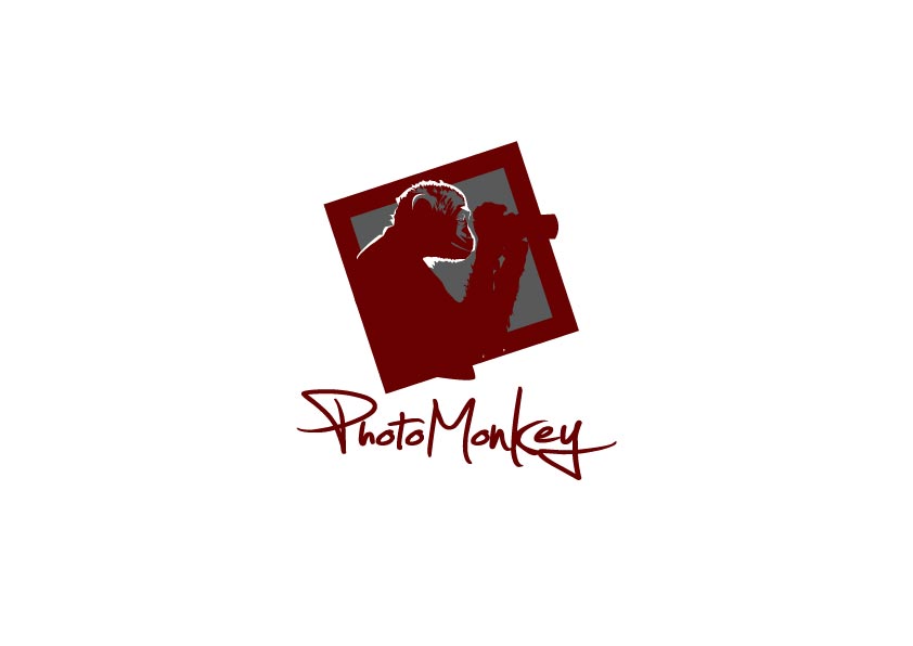 Logo Design by ~idiaz~ for PhotoMonkey | Design #1060983