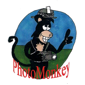Logo Design by stevies cartoons for PhotoMonkey | Design: #1084278