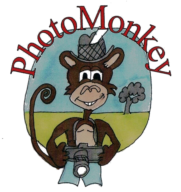 Logo Design by stevies cartoons for PhotoMonkey | Design #1084499