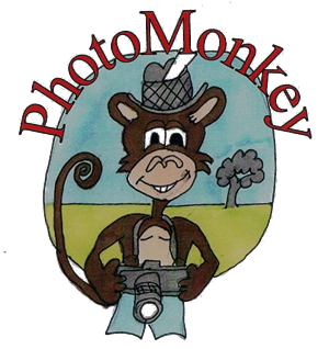 Logo Design by stevies cartoons for PhotoMonkey | Design: #1084499