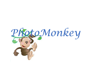 Logo Design by Showstarmedia