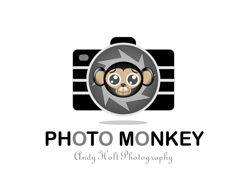 Logo Design by Vicky Latorre for PhotoMonkey | Design #1064254
