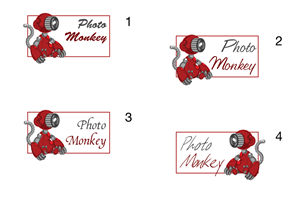 Logo Design by Michael Libbiter for PhotoMonkey | Design: #1070548