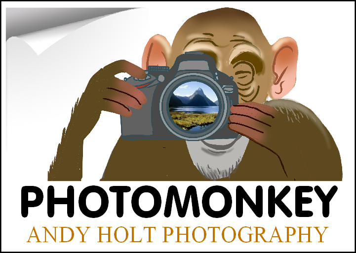 Logo Design by sdrum for PhotoMonkey | Design #1081382