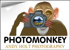 Logo Design by sdrum