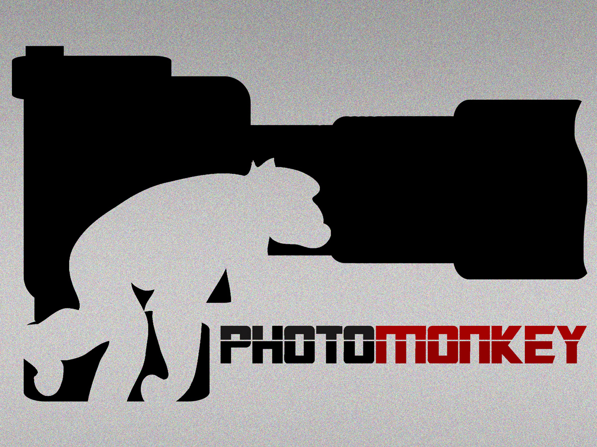 Logo Design by Mike Chawner for PhotoMonkey | Design #1067804