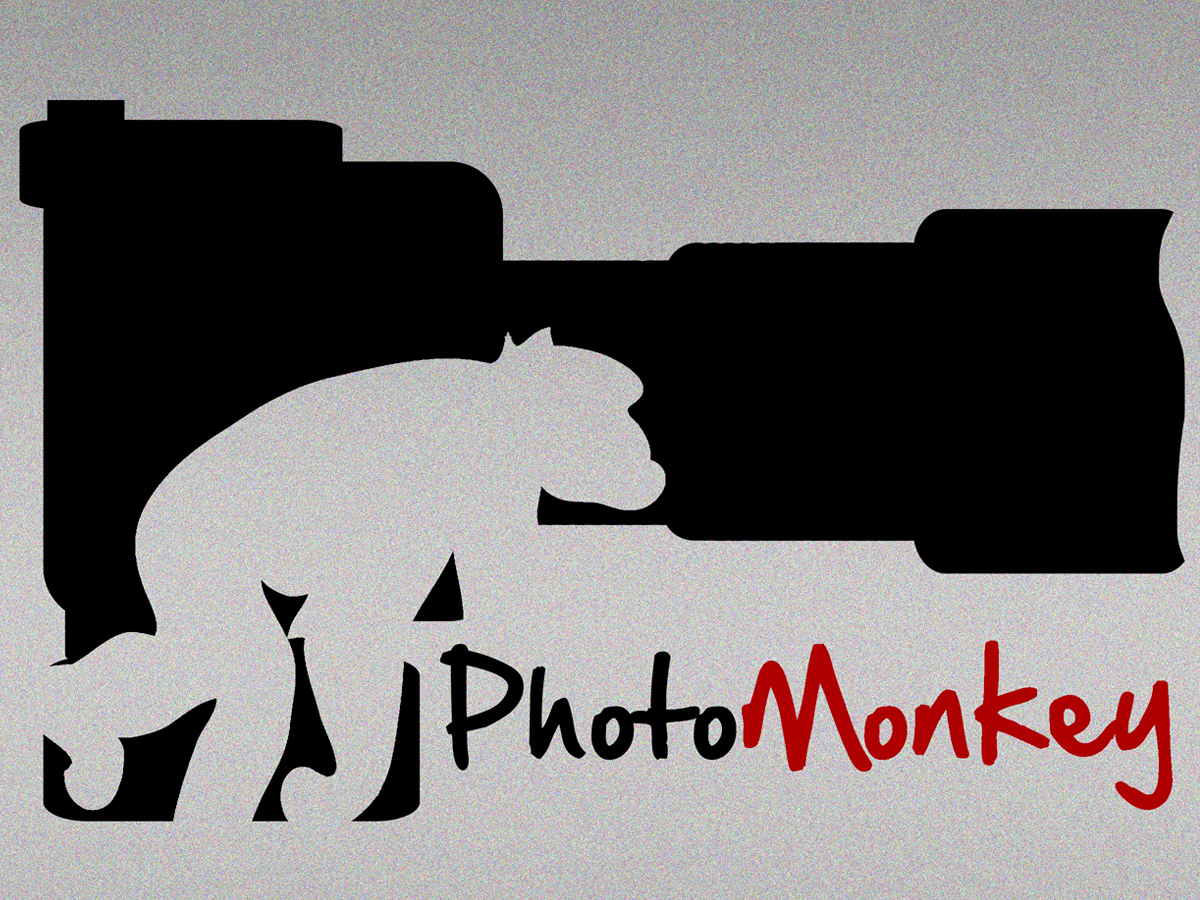 Diseño de Logo por Mike Chawner para PhotoMonkey | Diseño #1070169
