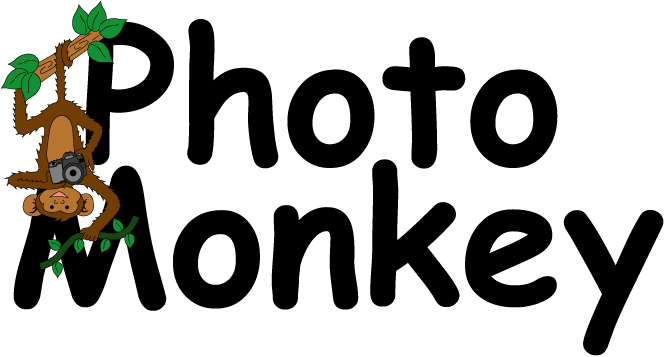 Logo Design by KE Designs for PhotoMonkey | Design #1078970