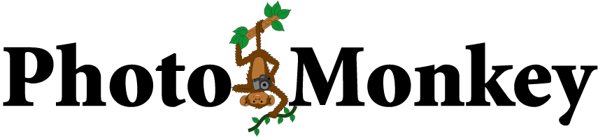 Logo Design by KE Designs for PhotoMonkey | Design #1078977