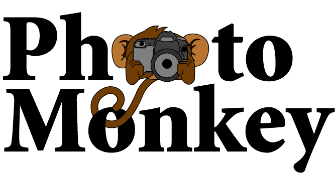 Logo Design by KE Designs for PhotoMonkey | Design #1078980