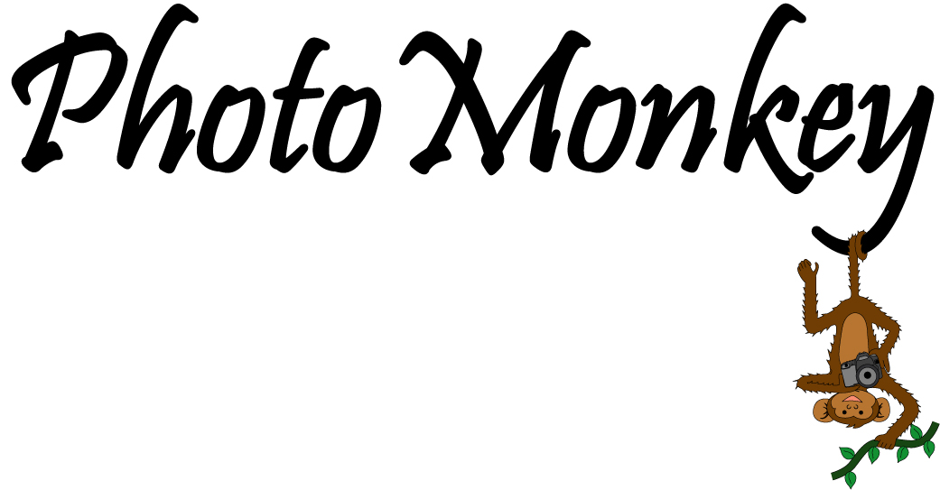 Logo Design by KE Designs for PhotoMonkey | Design #1078985