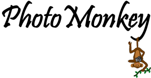 Diseño de Logo por KE Designs para PhotoMonkey | Diseño: #1078985