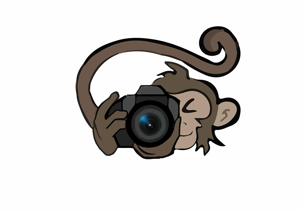 Logo Design by Abby W. for PhotoMonkey | Design #1064789