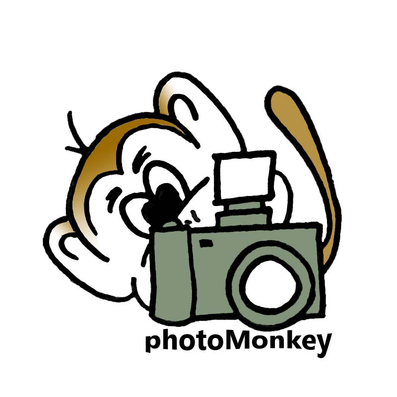 Logo Design by alice_moon for PhotoMonkey | Design #1057171