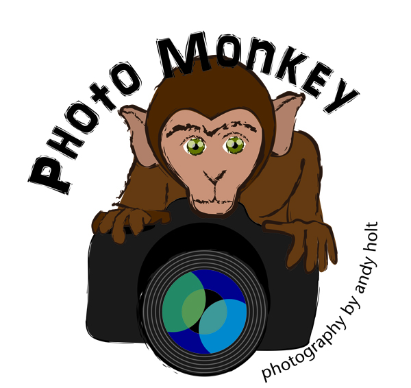 Logo Design by Josephine for PhotoMonkey | Design #1057191