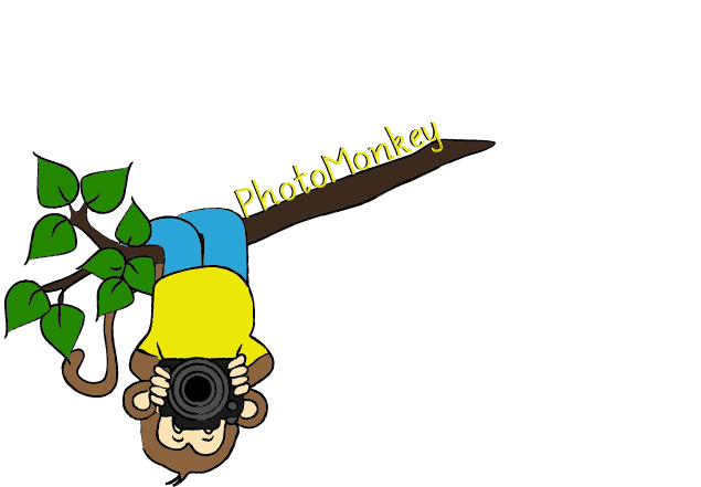 Logo-Design von coopdesigns für PhotoMonkey | Design #1062145