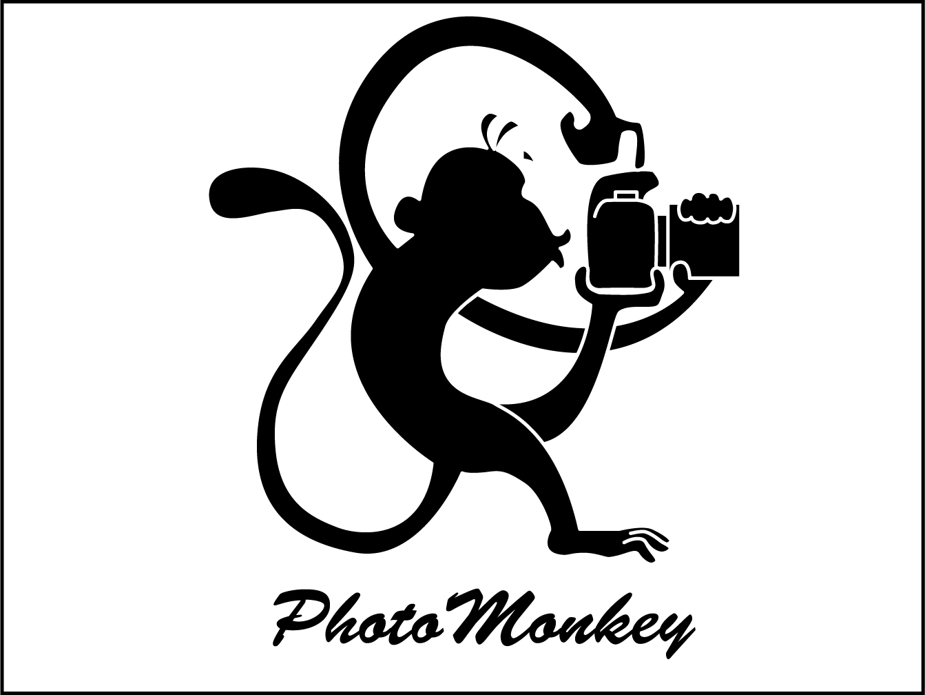 Logo Design by Kurtle for PhotoMonkey | Design #1088524