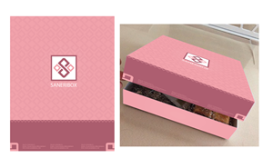 Diseño de Empaque por dan86 para Saneribox | Diseño #3934594