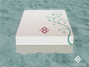Design Emballage par erex pour Saneribox | Design : #3973594