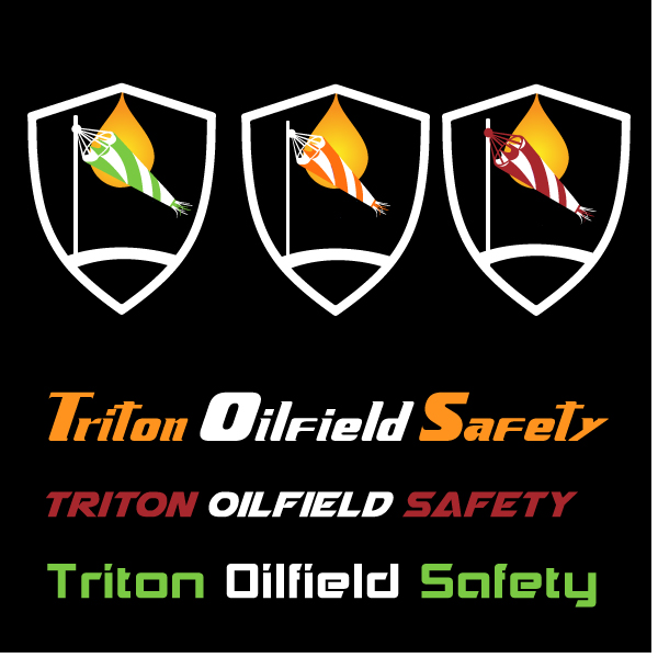 Logo Design by ecanbrands for this project | Design #3955568