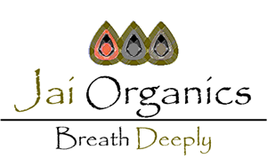 Logo Design by Iris Design