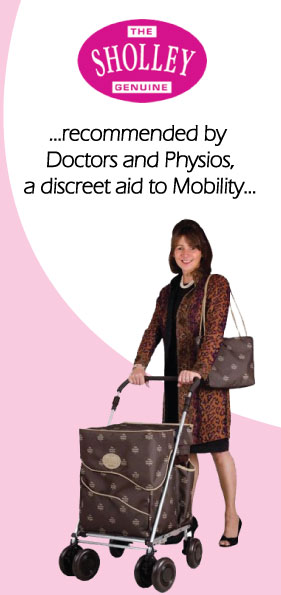 Diseño de Brochure por filp flop para Sholley Trolley Australia | Diseño #3955416