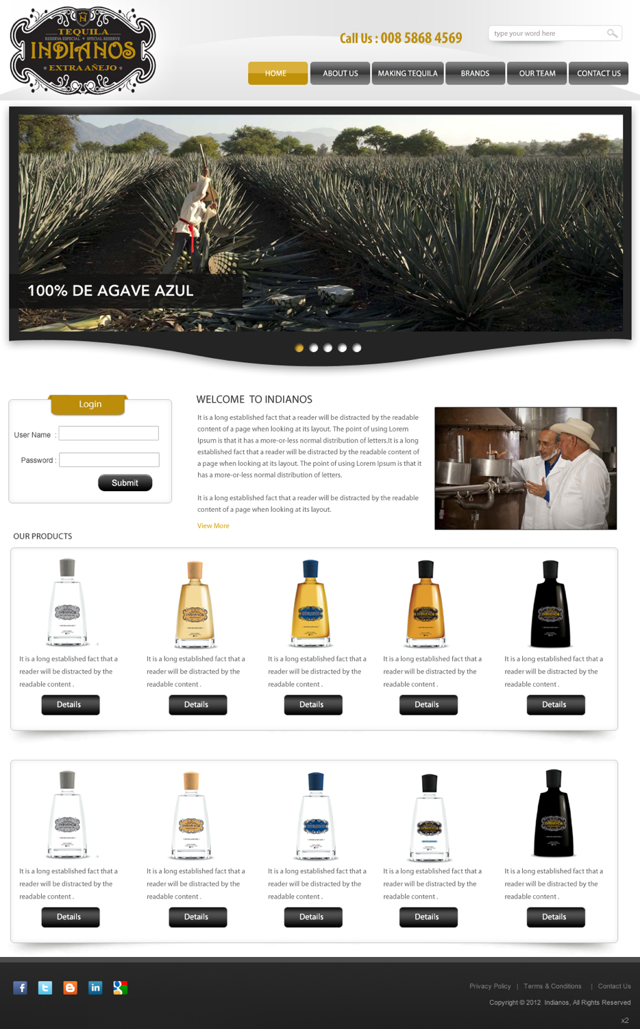 Web Design by pb for Arriba Marketing Group, Inc. | Design #1058861