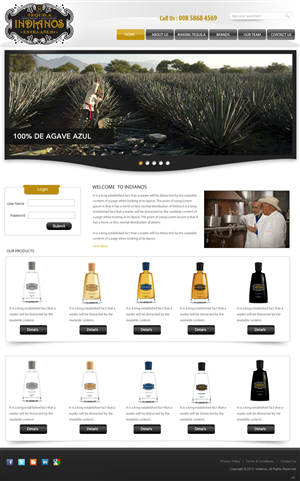 Web Design by pb for Arriba Marketing Group, Inc. | Design: #1058861