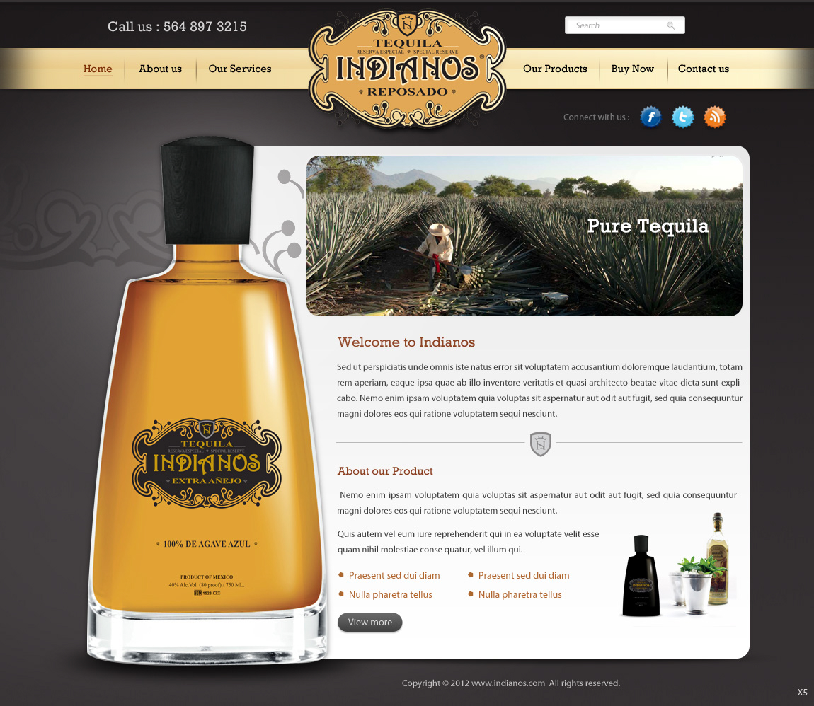 Web Design by pb for Arriba Marketing Group, Inc. | Design #1058863