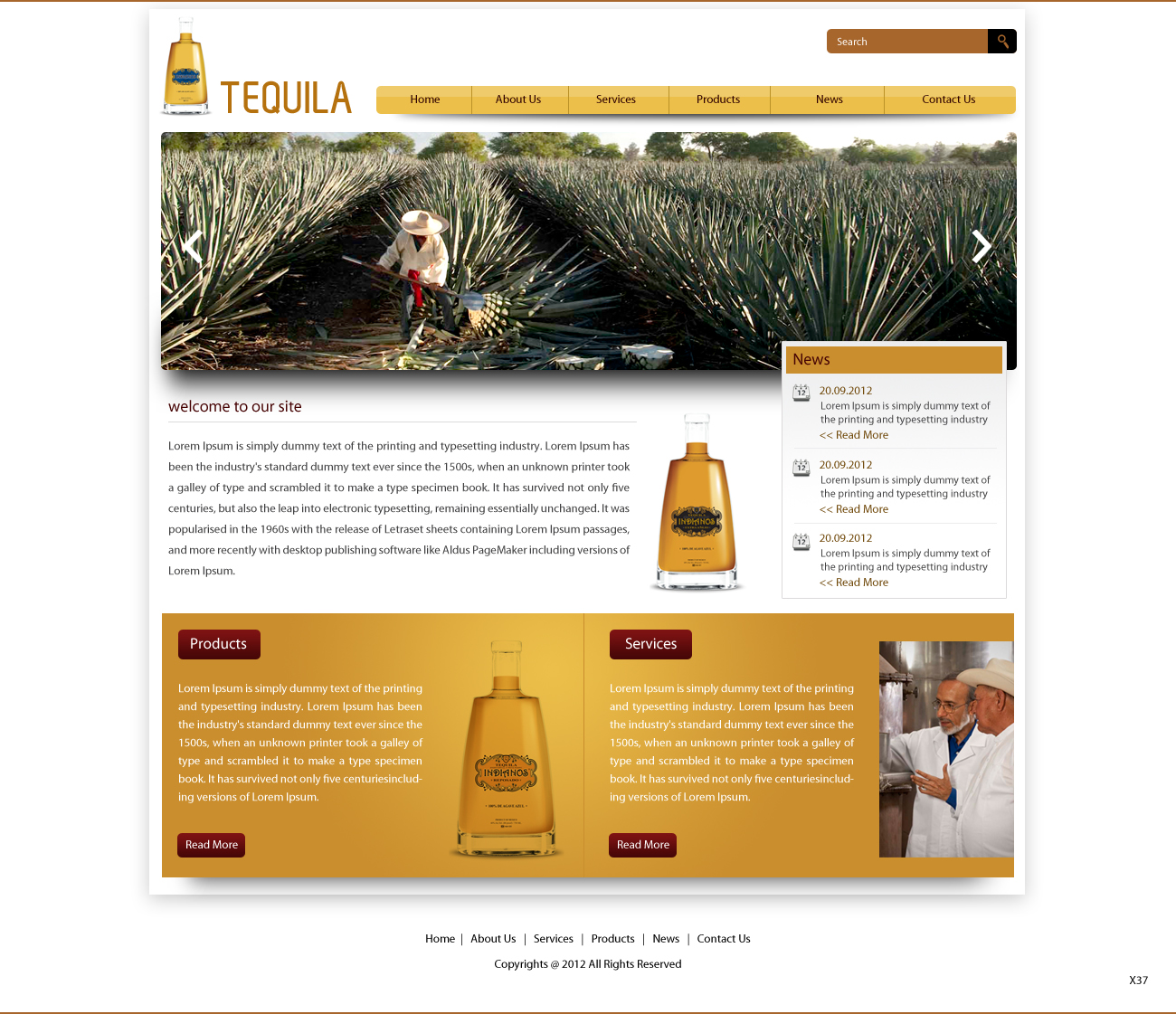 Web Design by pb for Arriba Marketing Group, Inc. | Design #1059992