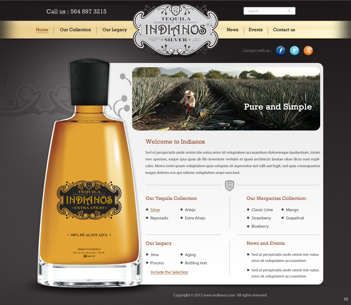 Web Design par pb pour Arriba Marketing Group, Inc. | Design #1079261