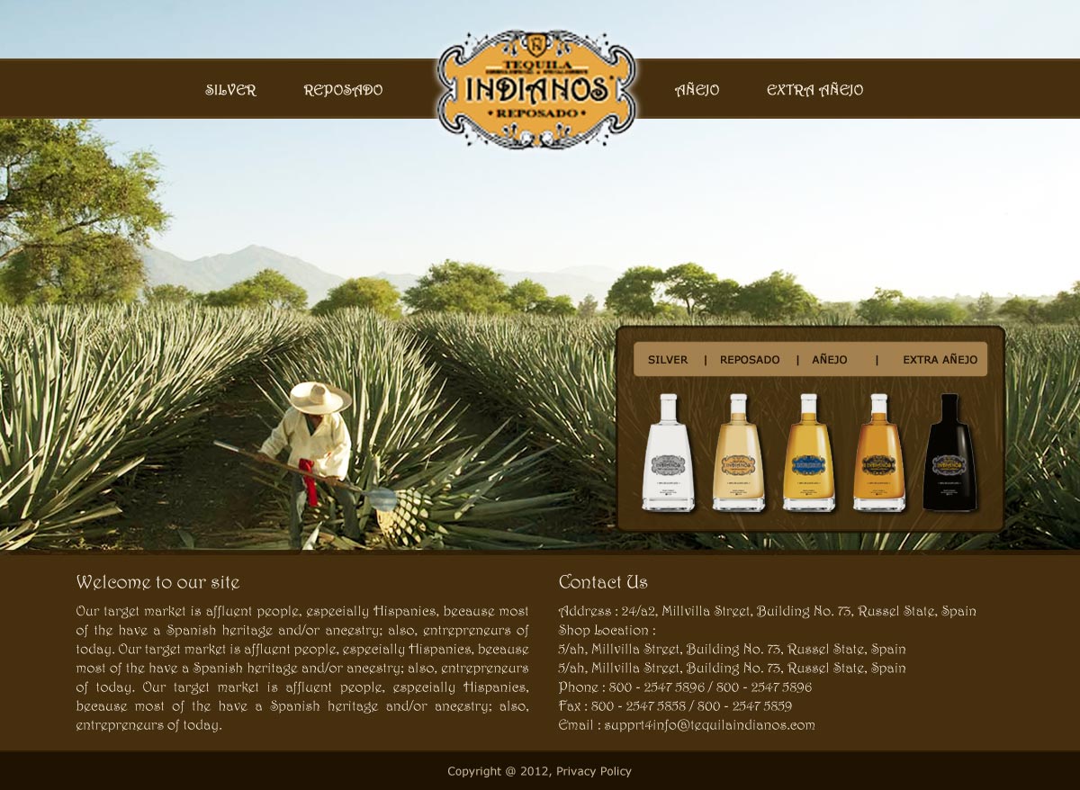 Web Design par UniqueDesignz pour Arriba Marketing Group, Inc. | Design #1078059