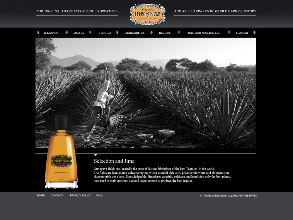 Web Design par tanya pour Arriba Marketing Group, Inc. | Design #1088542