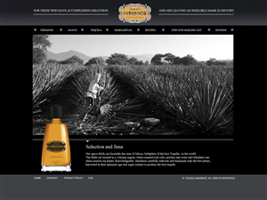 Web Design by tanya for Arriba Marketing Group, Inc. | Design: #1088542