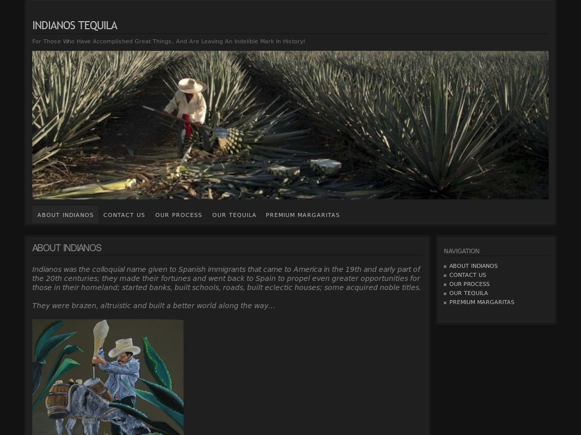 Web Design par Tezi Design pour Arriba Marketing Group, Inc. | Design #1092067