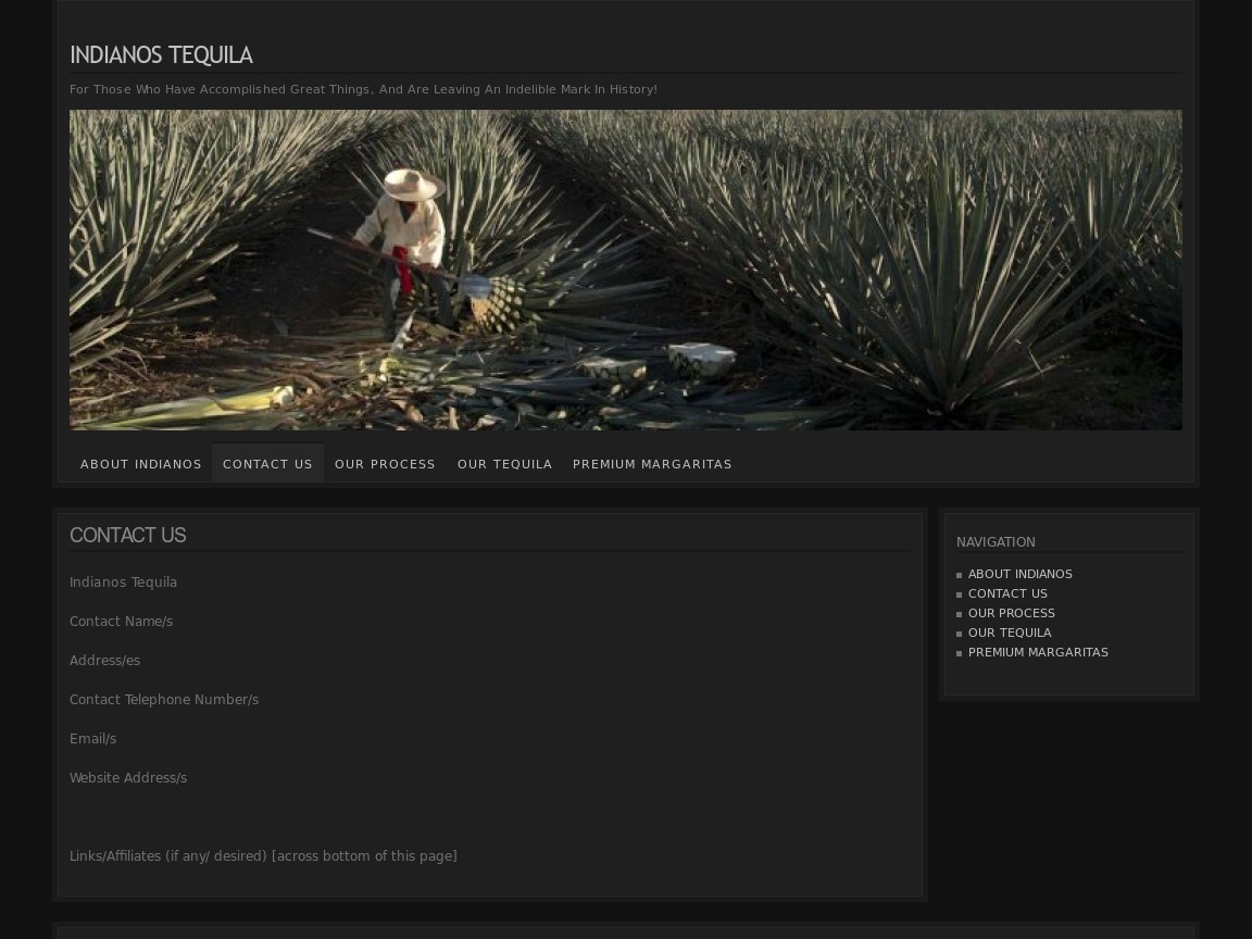 Web Design par Tezi Design pour Arriba Marketing Group, Inc. | Design #1092074