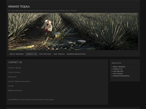 Web Design by Tezi Design for Arriba Marketing Group, Inc. | Design: #1092074