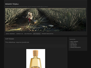 Web Design by Tezi Design for Arriba Marketing Group, Inc. | Design: #1092076