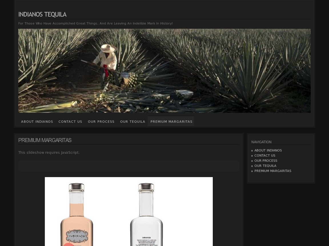 Web Design par Tezi Design pour Arriba Marketing Group, Inc. | Design #1092077